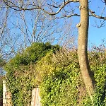 Scar Bridge 3 Bedrooms Sleeps 6 * Wexford