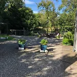 Scar Bridge 3 Bedrooms Sleeps 6 *