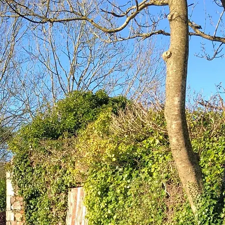 Scar Bridge 3 Bedrooms Sleeps 6 * Wexford